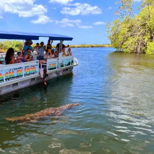 Black River Crocodile Safari Tour