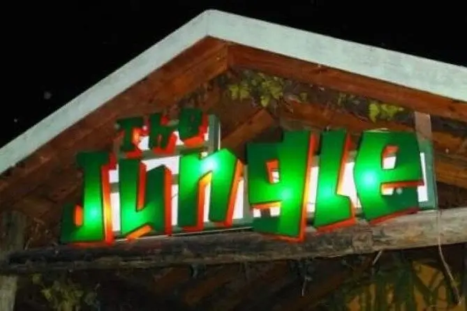 Jungle Night Club Tour